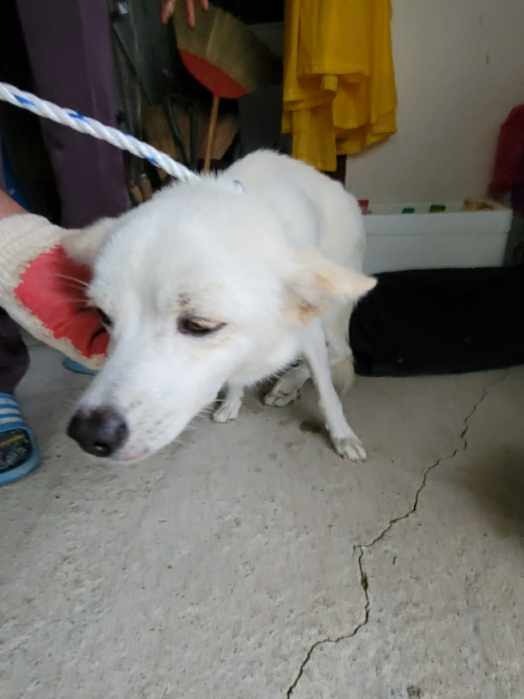 괴산증평동물보호센터_443446202400475